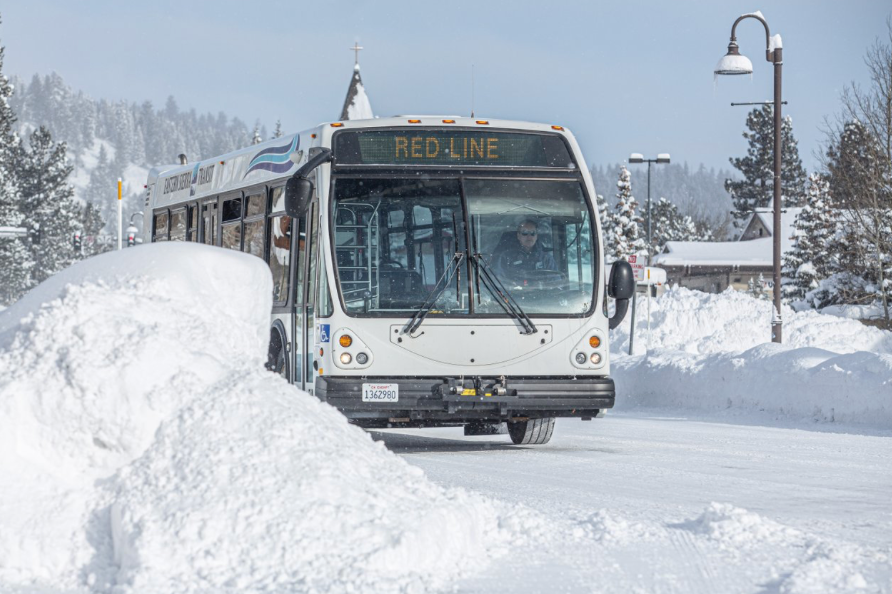 Mammoth Bus